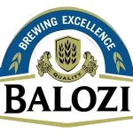 Balozi-logo-updated